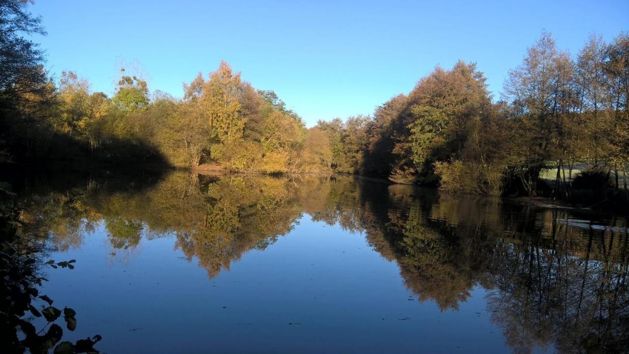 Le Plessis-Dorin Gite Des Etangs De Beaulieu מראה חיצוני תמונה
